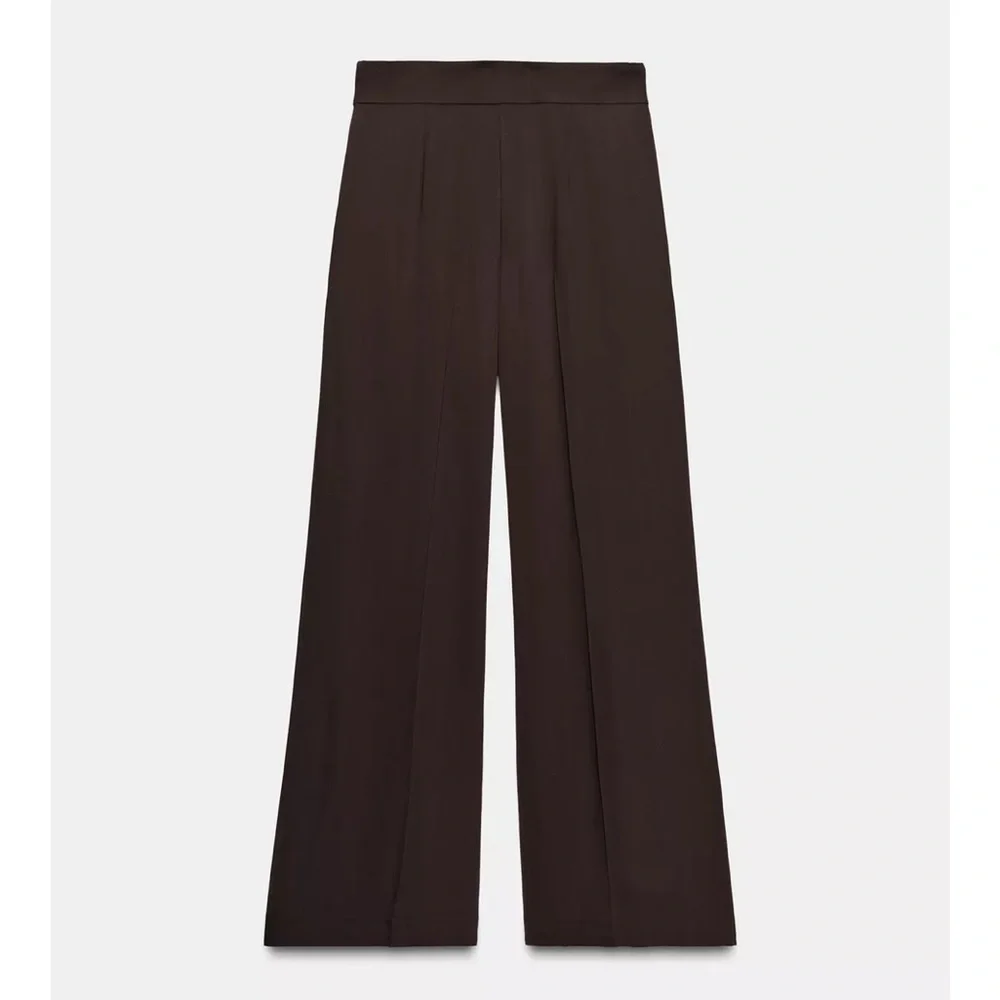 Zara NWT dart pleated brown pants
